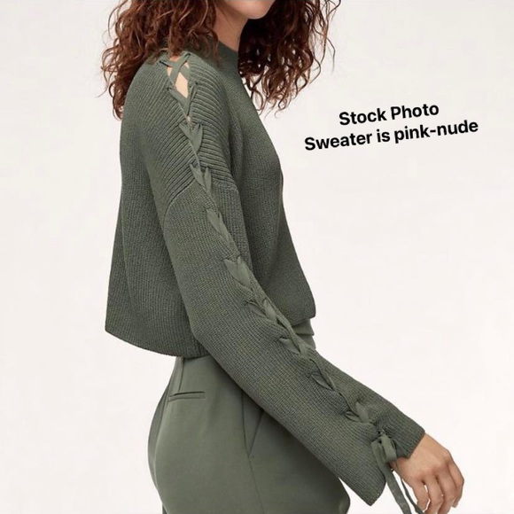Aritzia Sweaters - NWT WILFRED SALOME CREW NEXK WITH ARM TIES SWEATER